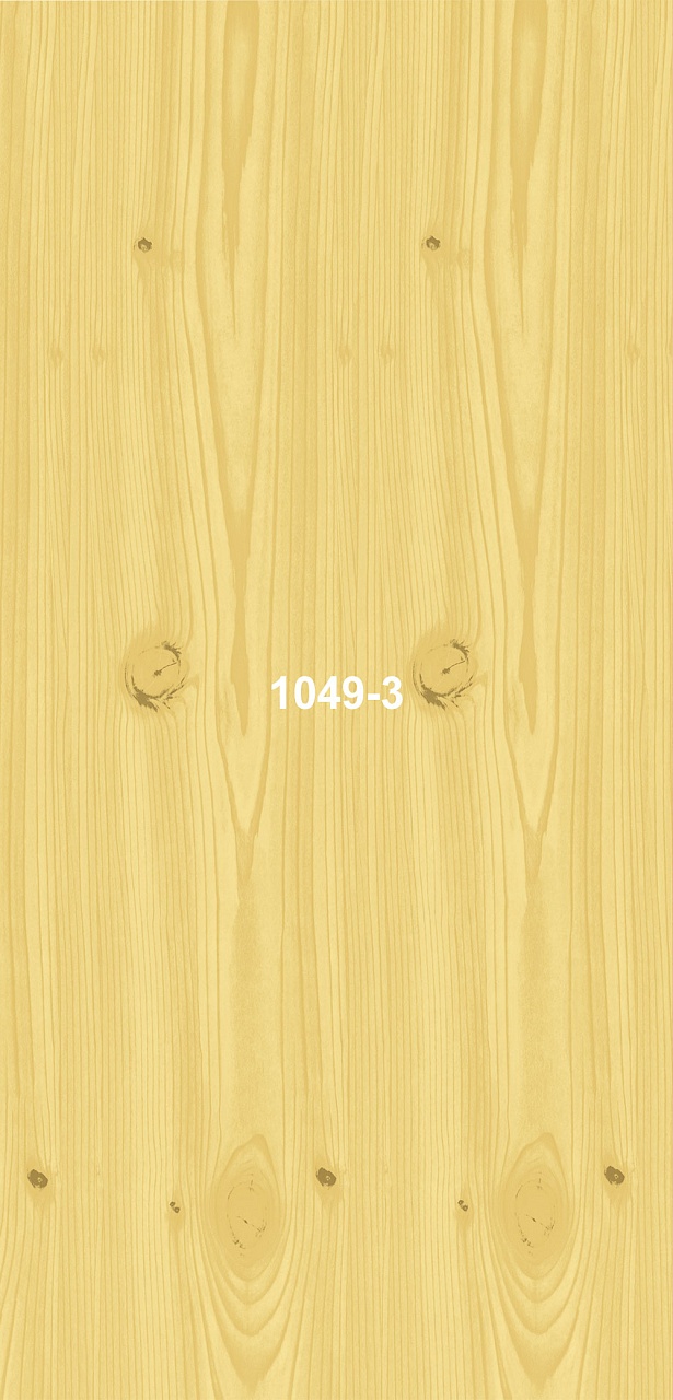 1049-3