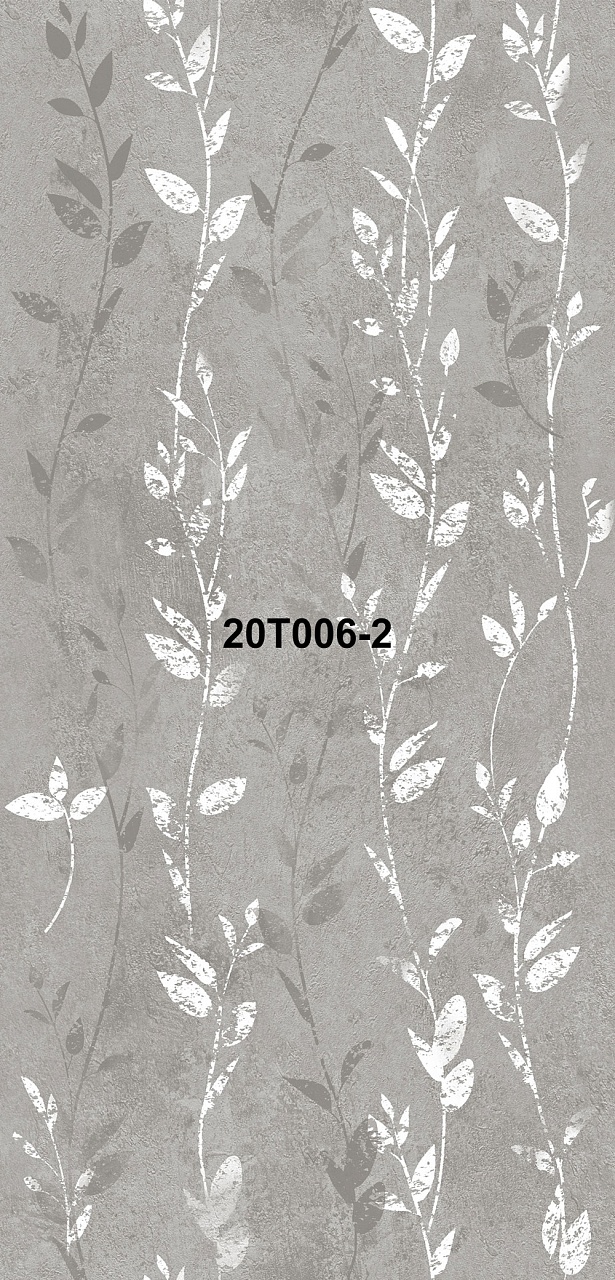 20T006-2