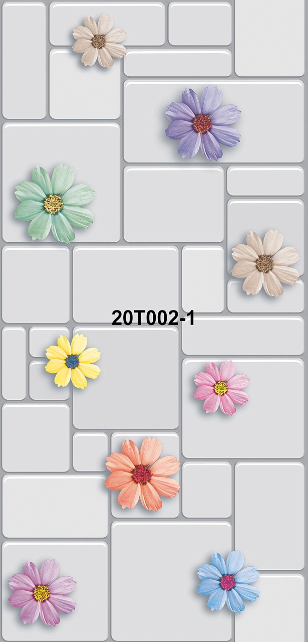20T002-1