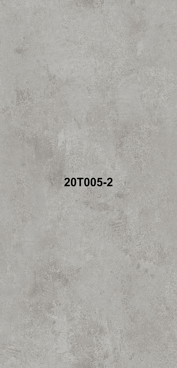 20T005-2