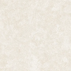 25071