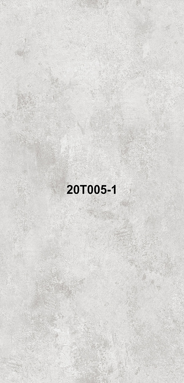 20T005-1