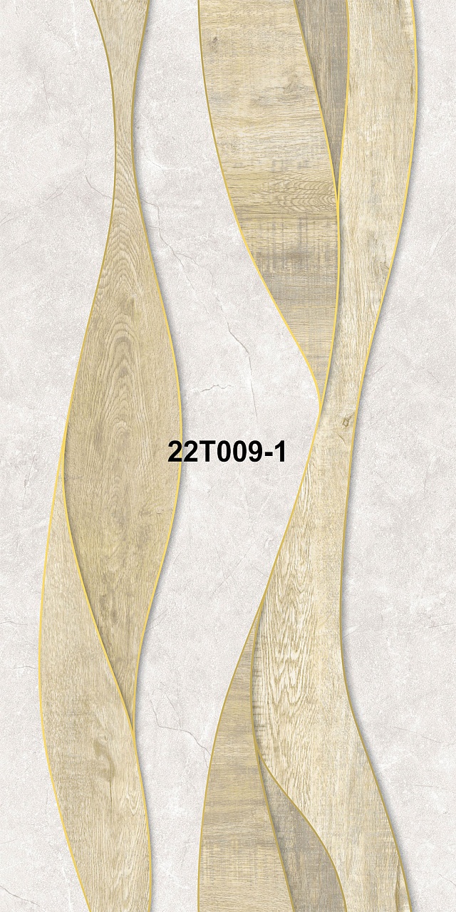 22T009-1