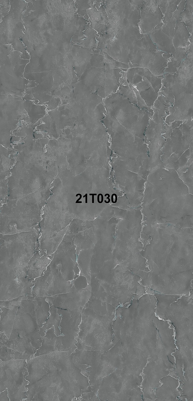 21T030