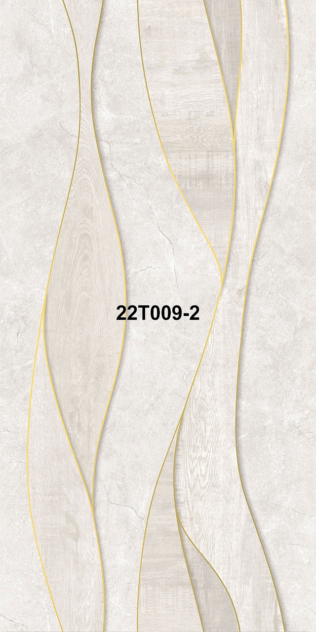 22T009-2