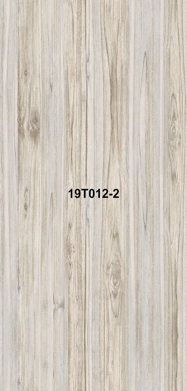 19T012-2