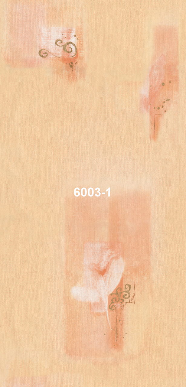 6003-1
