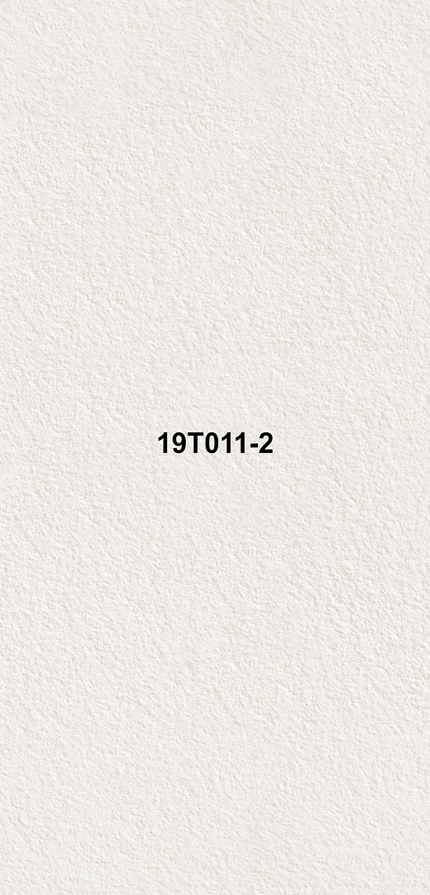 19T011-2