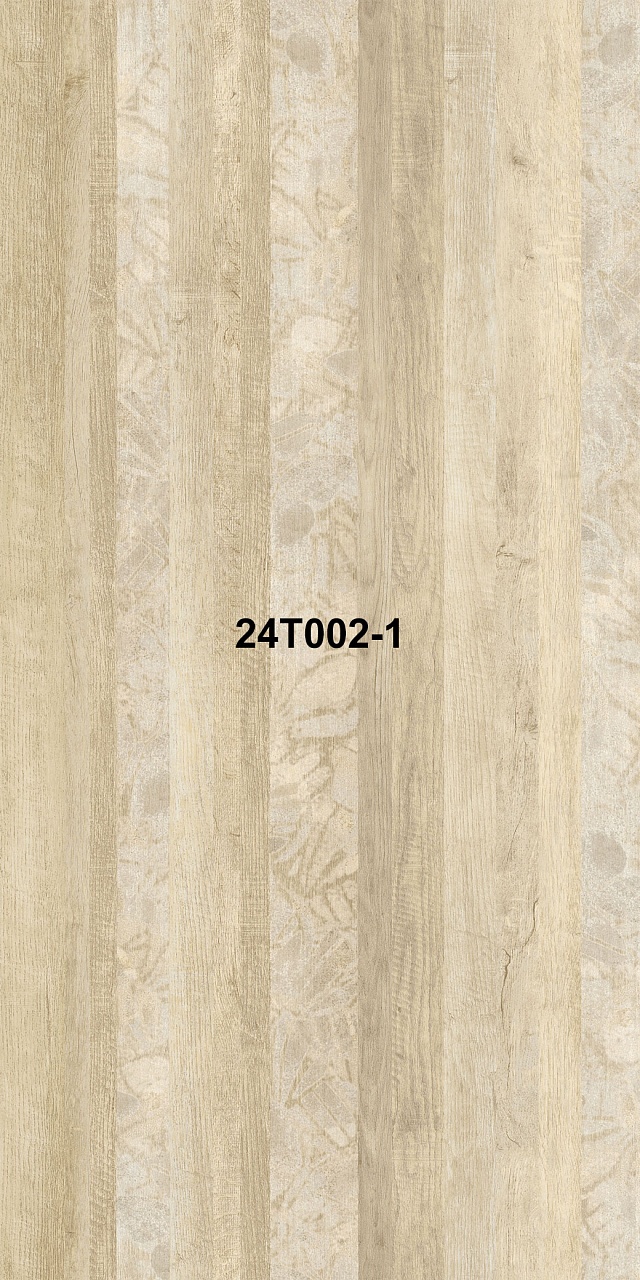 24T002-1