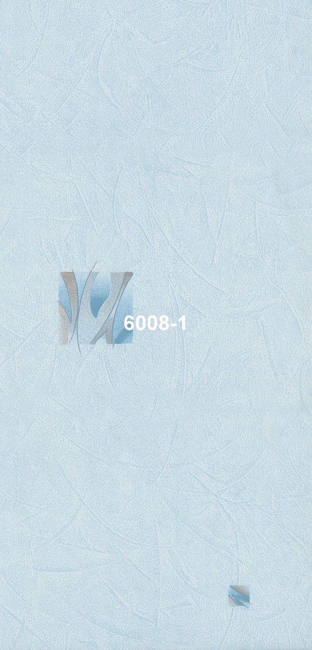 6008-1