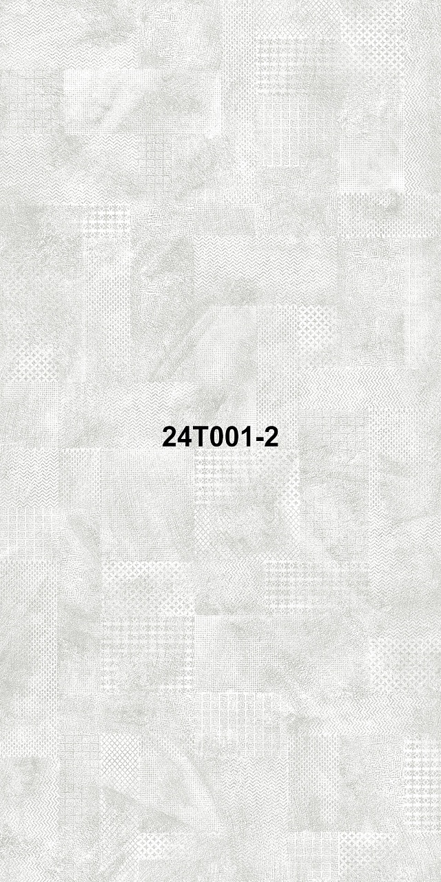 24T001-2
