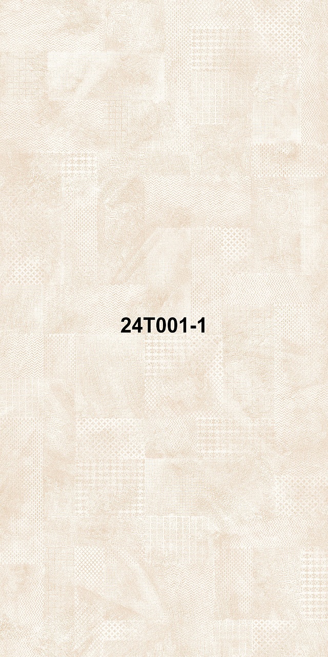 24T001-1