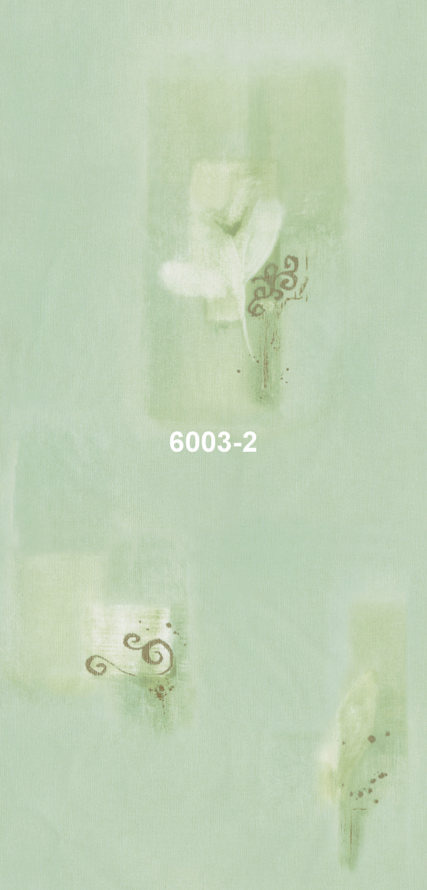 6003-2