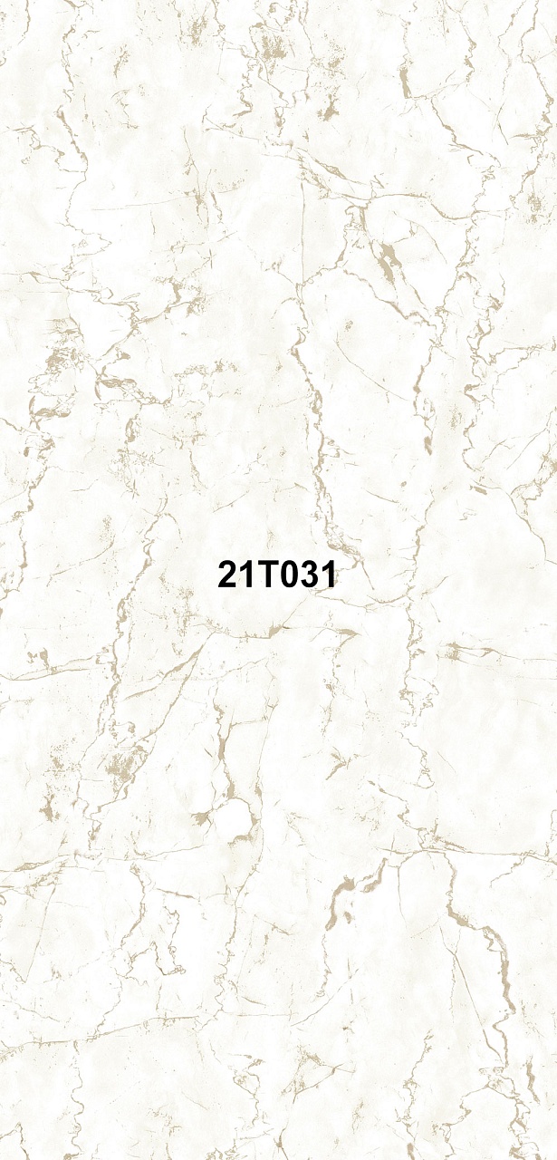 21T031