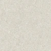 25068