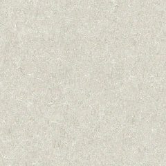 25068