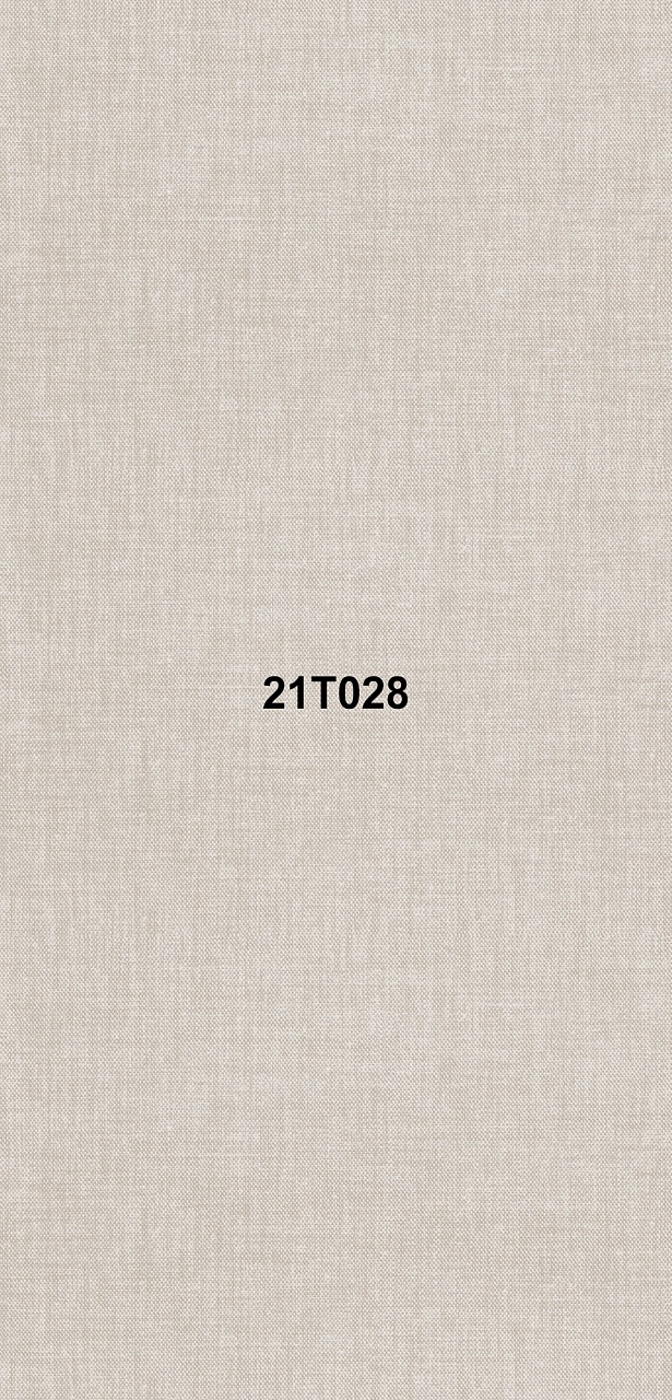 21T028