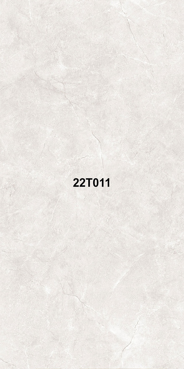 22T011