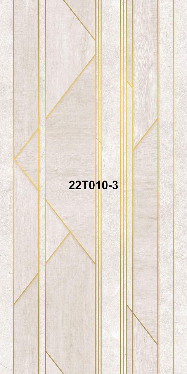 22T010-3