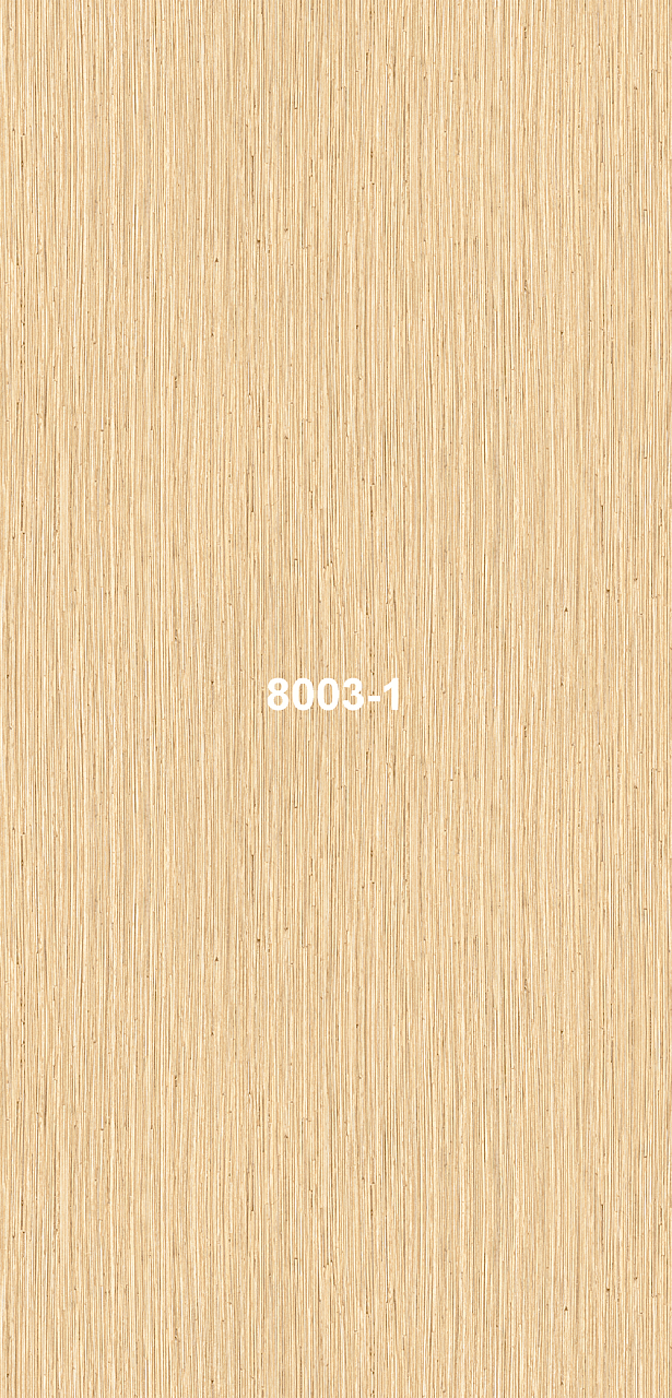 8003-1