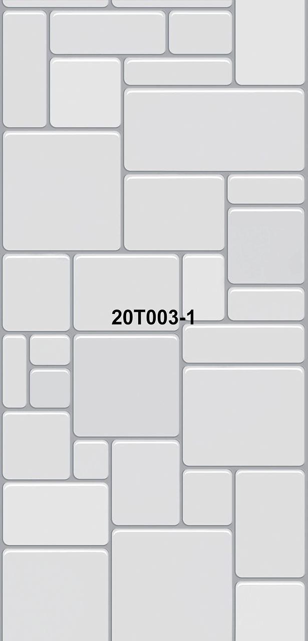 20T003-1