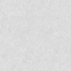 25069