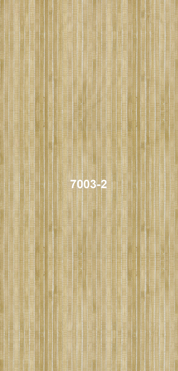 7003-2