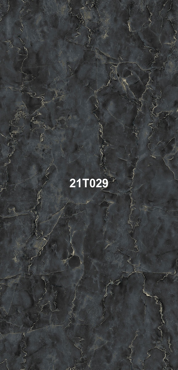 21T029