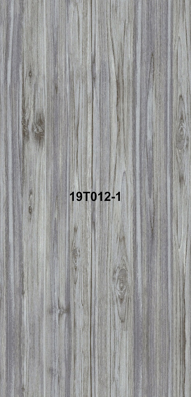19T012-1