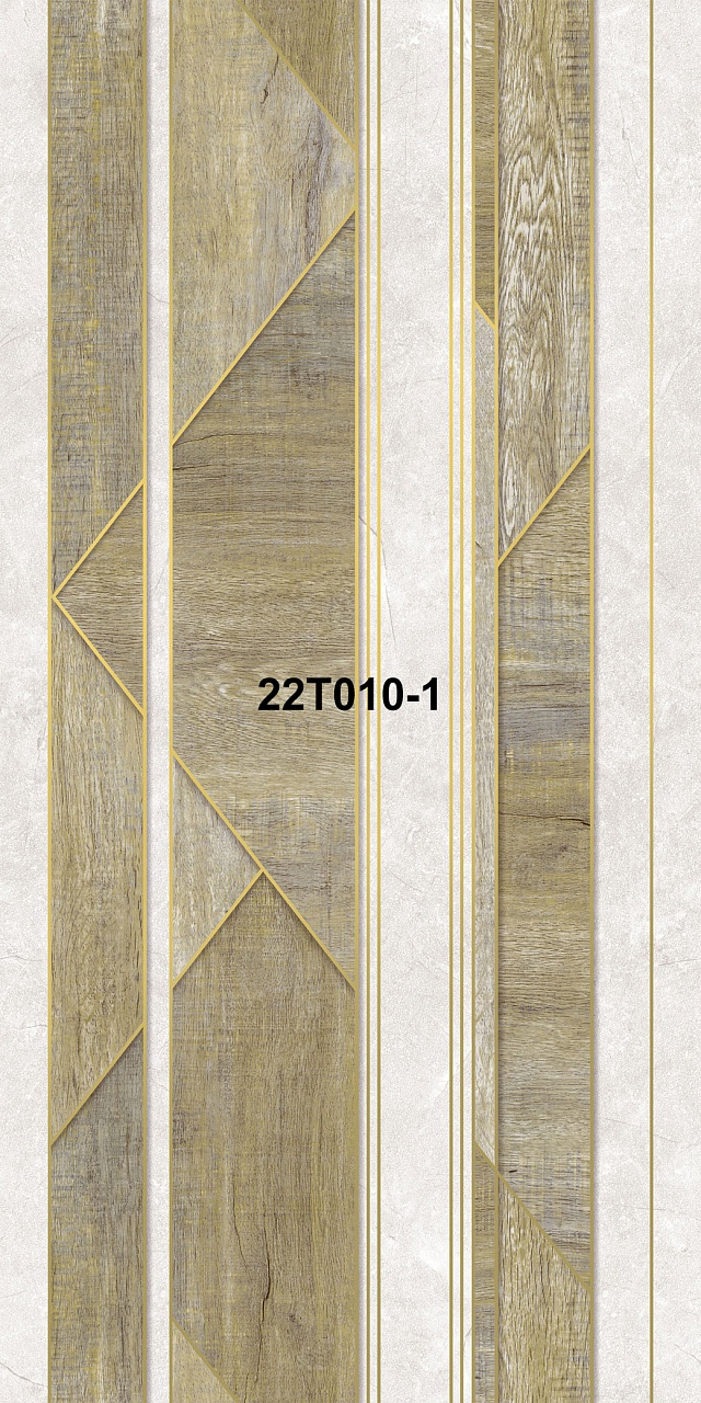 22T010-1