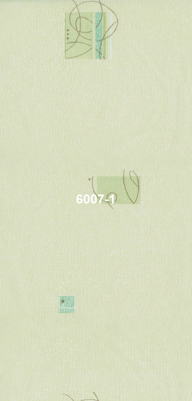 6007-1
