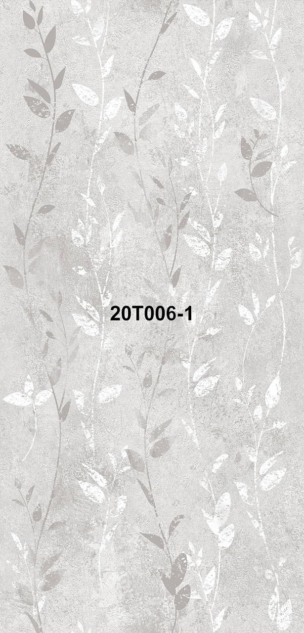 20T006-1