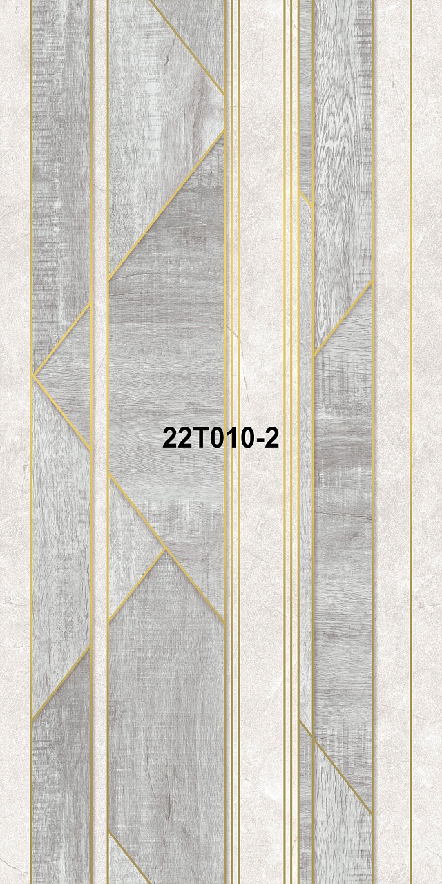 22T010-2
