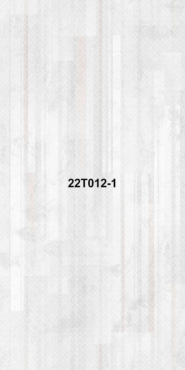 22T012-1