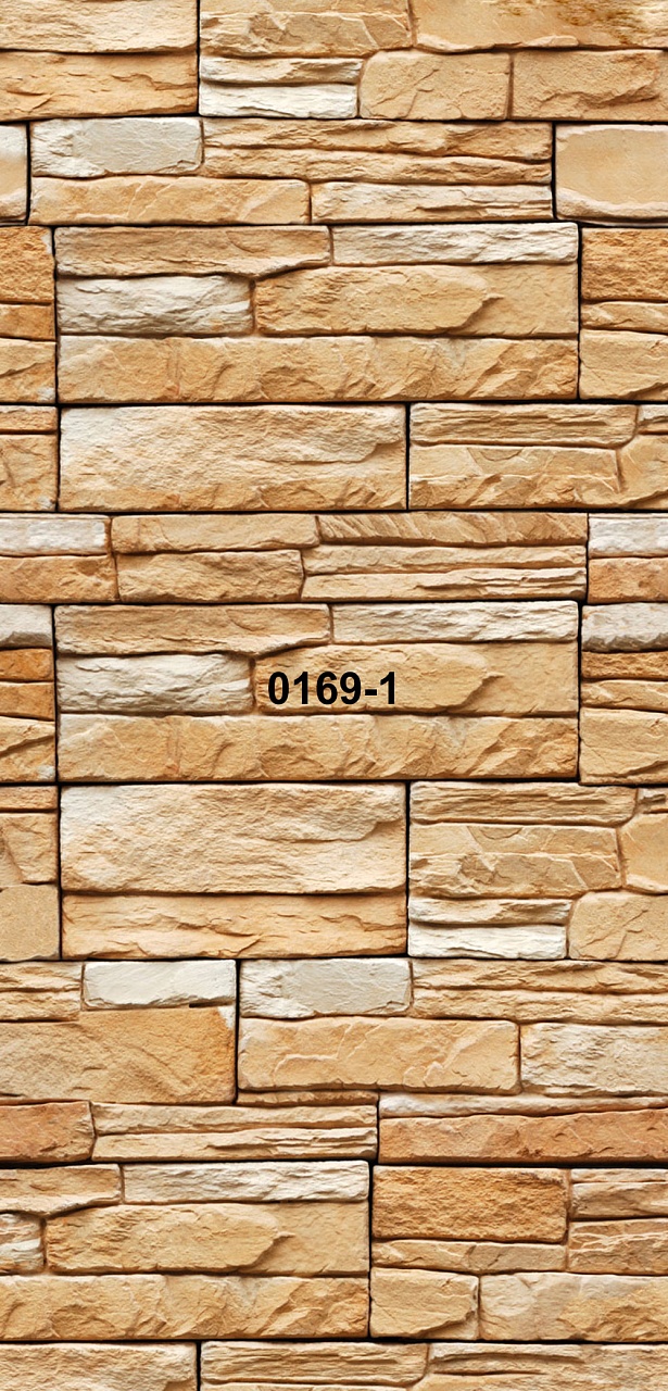 0169-1