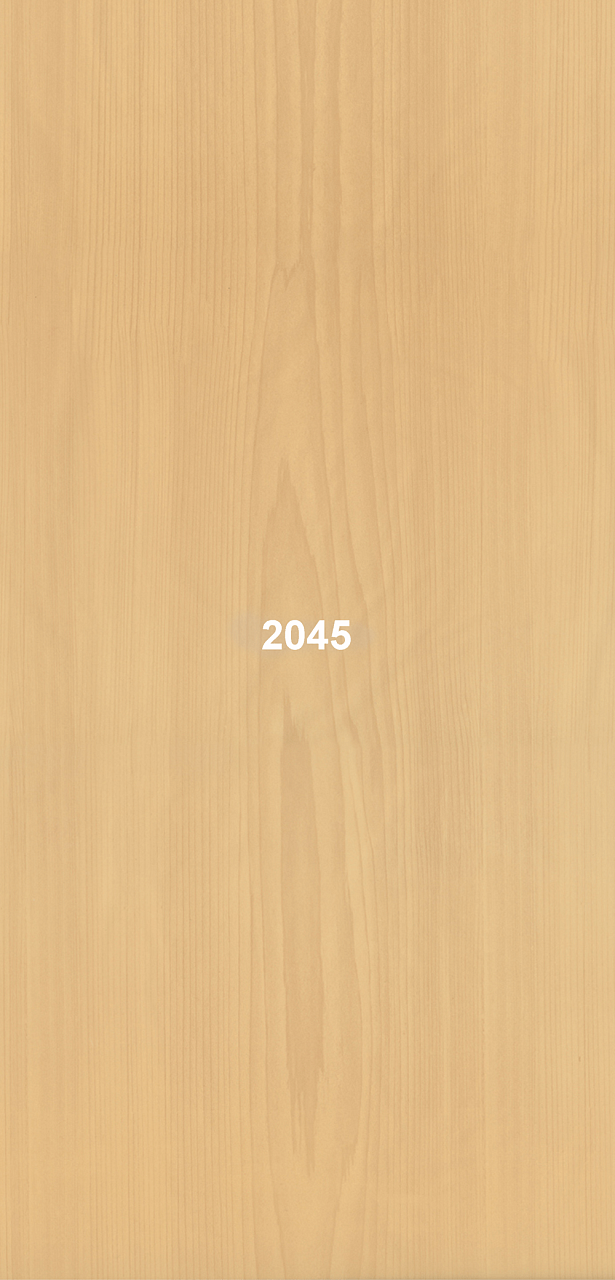 2045