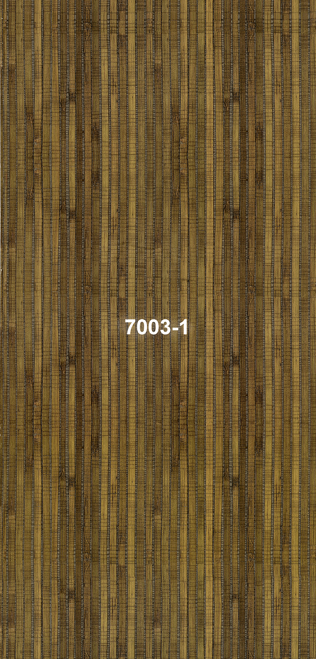 7003-1