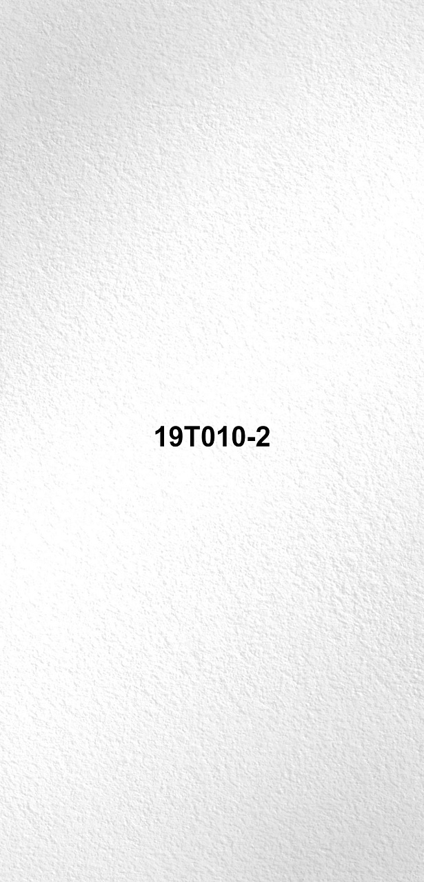 19T010-2
