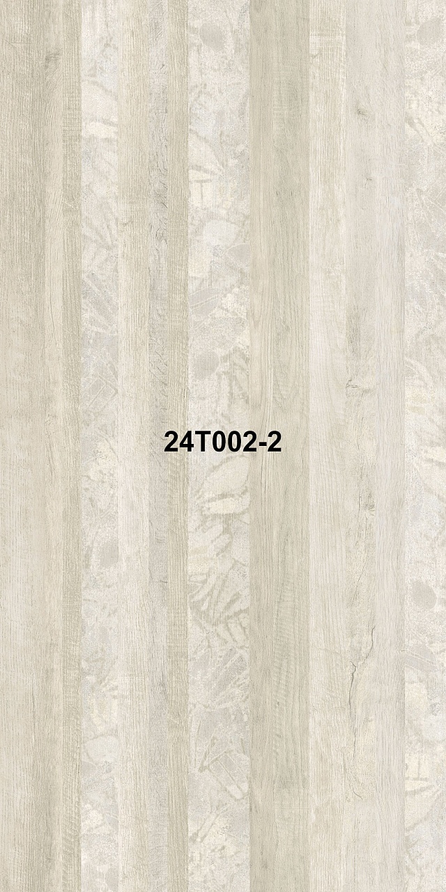 24T002-2